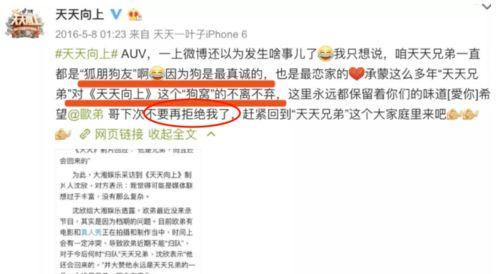 娱乐圈爆料顺序怎么看啊,幕后真相大起底 第2张 娱乐圈爆料顺序怎么看啊,幕后真相大起底 第2张